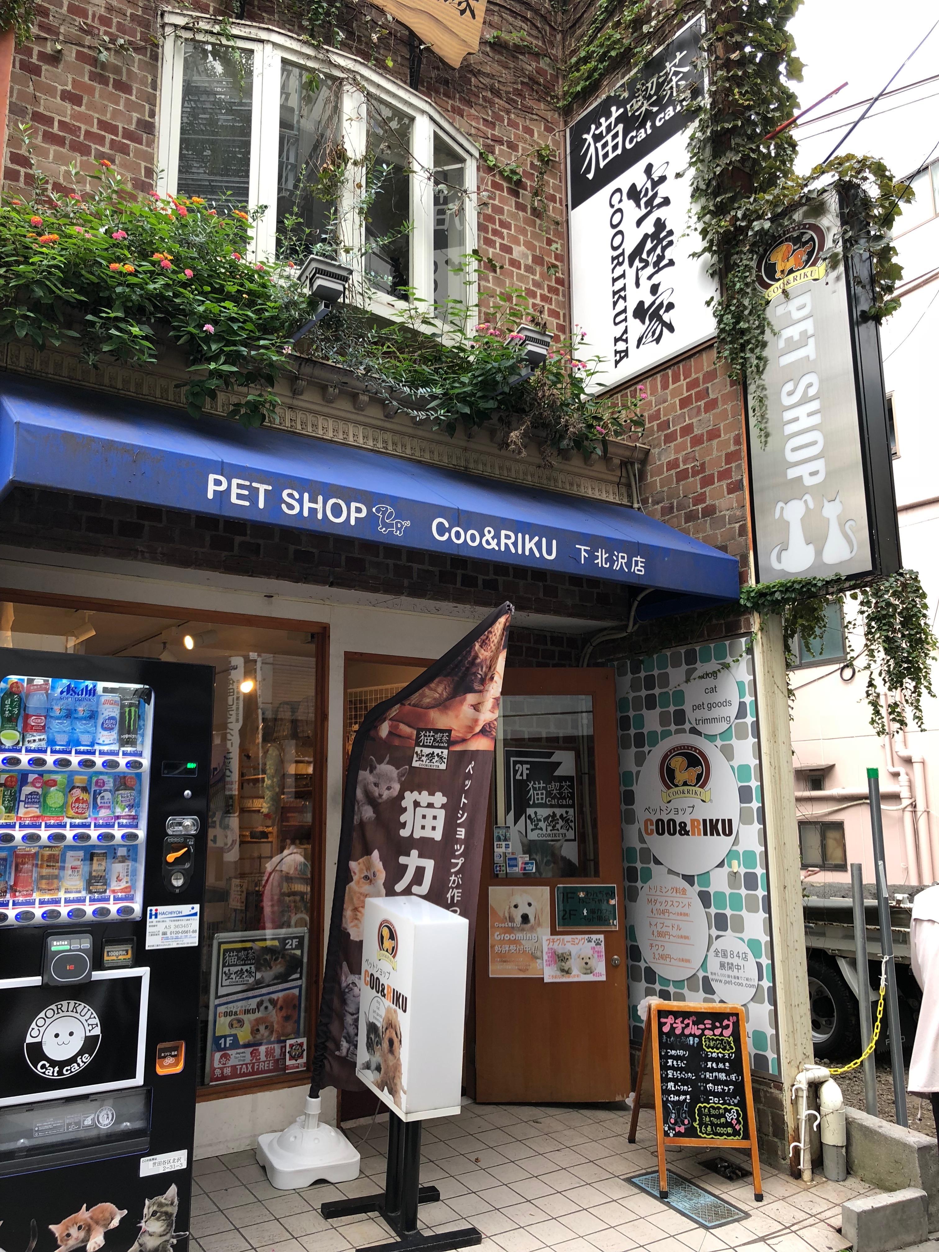 nearest pet shops